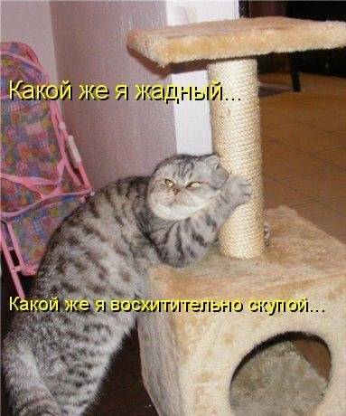 Котоматрицы