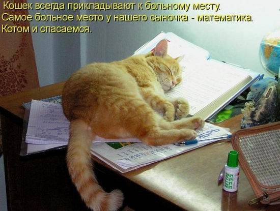 Котоматрицы