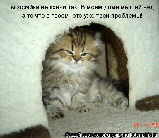 Котоматричная животинка