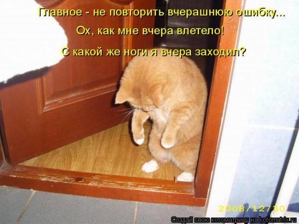 Котоматричная животинка