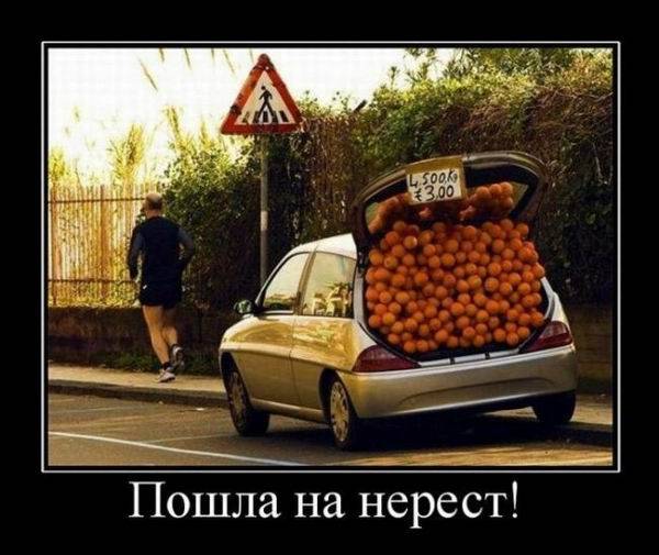 Авто-демотиваторы