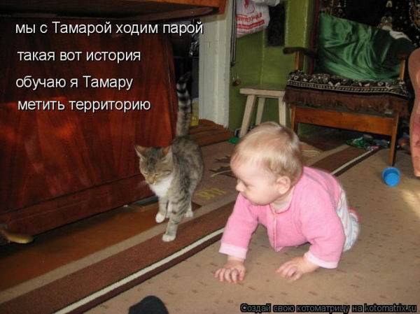 Котоматричные картинки