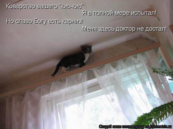 Котоматричные картинки