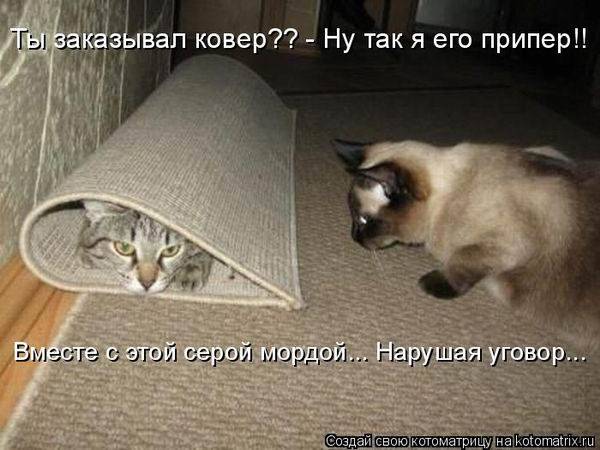 Котоматричные картинки