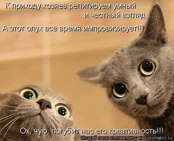 Котоматричные картинки