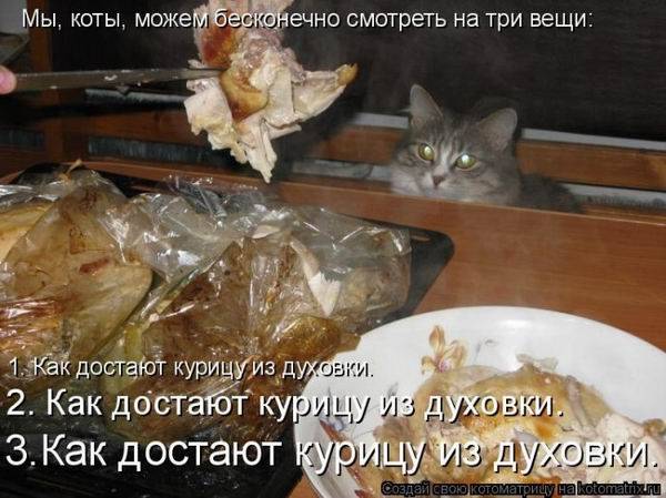 Весенние котоматричные картинки