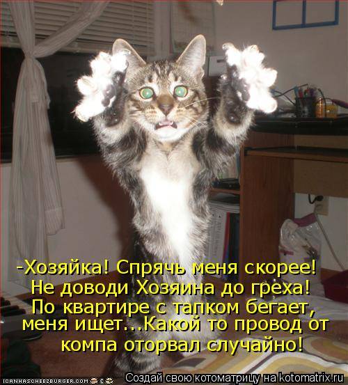 Весенние котоматричные картинки