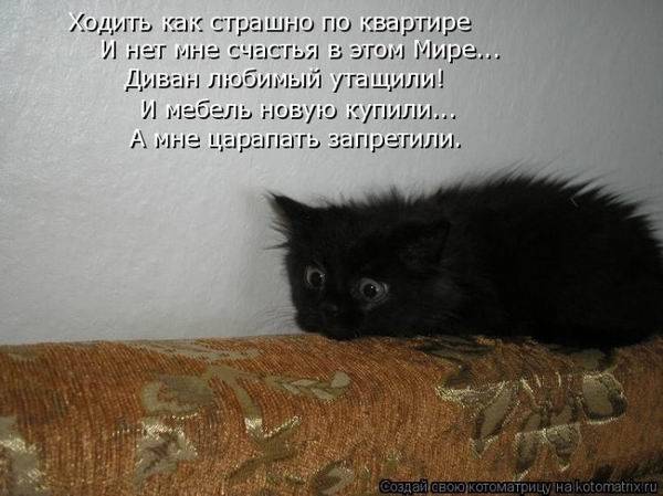 Котоматрицы