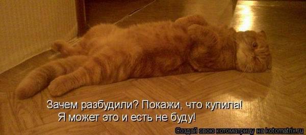 Котоматрицы