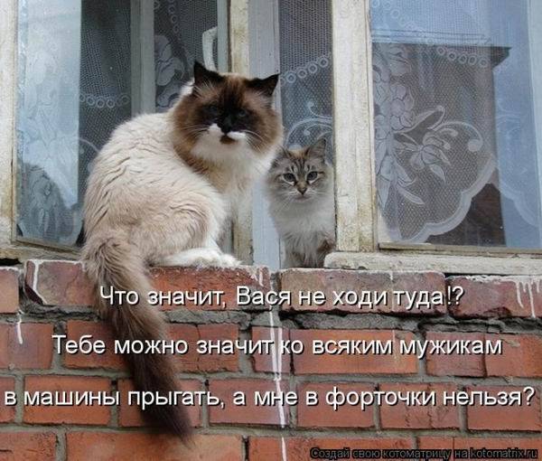 Котоматрицы