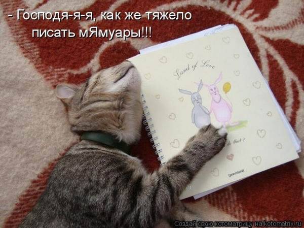 Котоматрицы