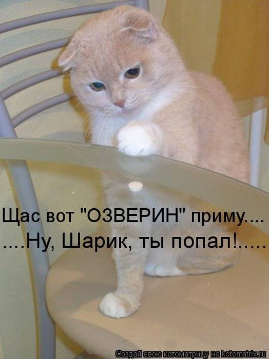 Котоматрицы