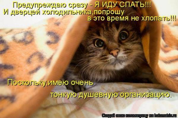 Котоматрицы