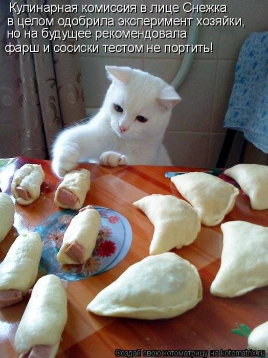 Котоматрицы