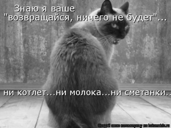 Котоматрицы