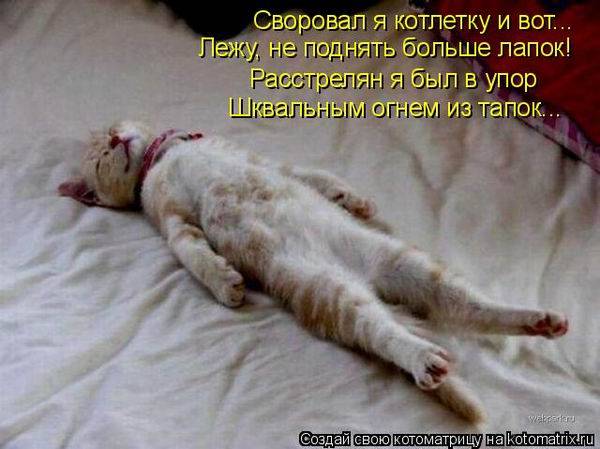 Котоматрицы