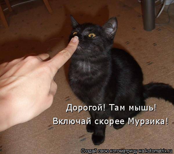 Котоматрицы