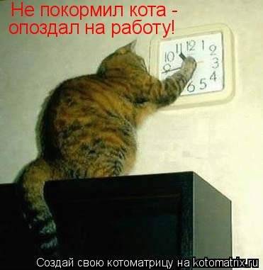 Котоматрица