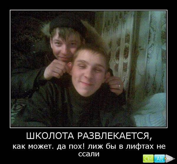 Демотиваторы