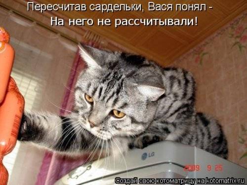 Котоматрица