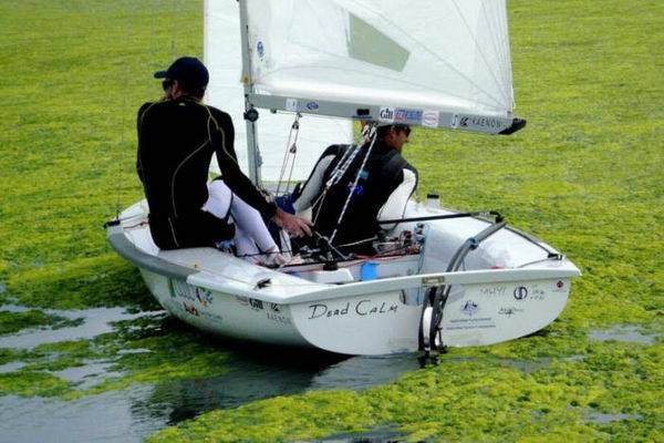 Нашествие водорослей в Китае