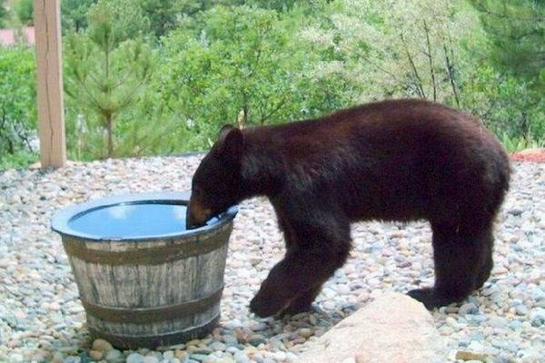 Куда пропала вода