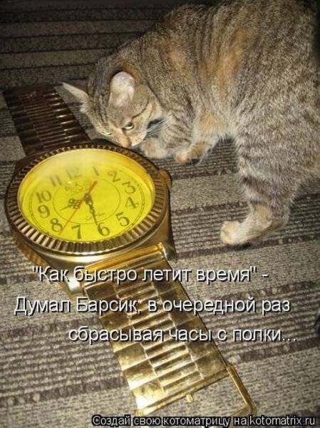 Котоматрицы