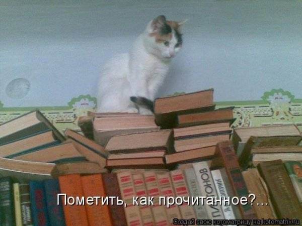 Котоматрицы