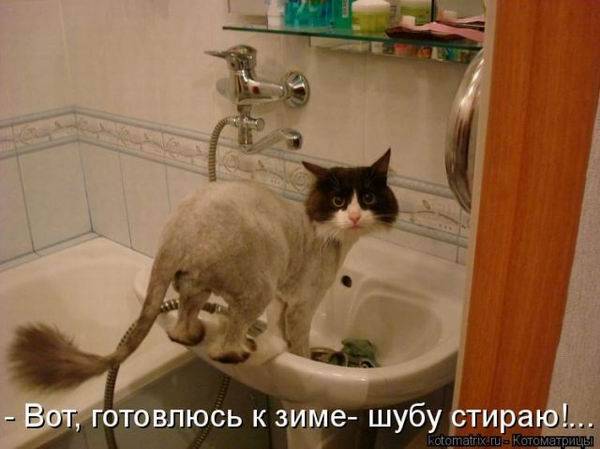 Котоматрицы