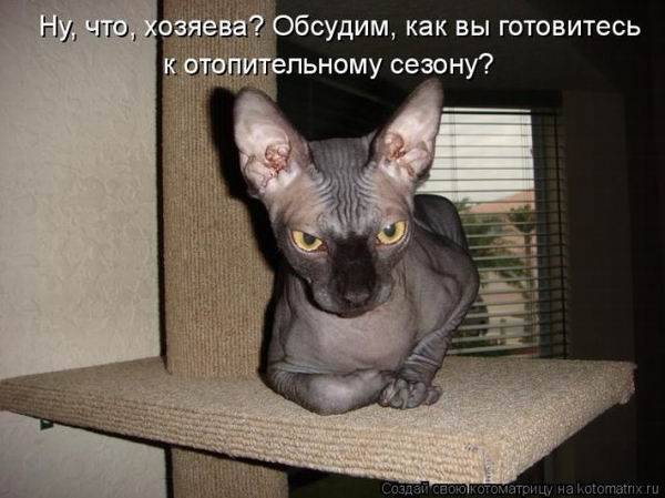 Котоматрицы