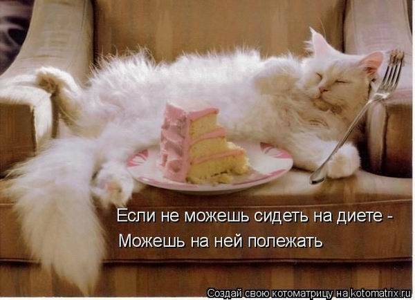 Котоматрицы