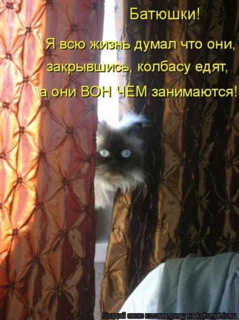 Котоматрицы