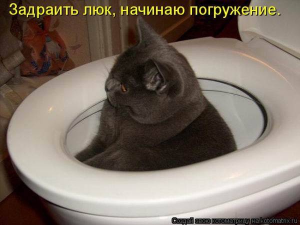 Веселые котоматрицы