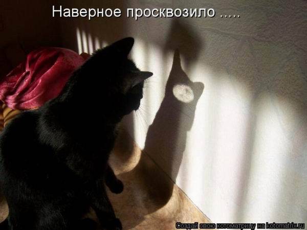 Веселые котоматрицы