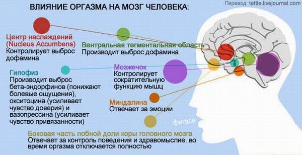 Вся правда об оргазмах