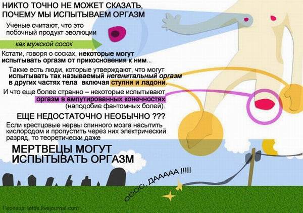 Вся правда об оргазмах