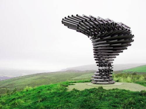 Поющее дерево Singing Ringing Tree