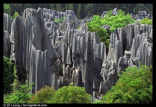 Китайский Каменный Лес в Шилин-Лунане