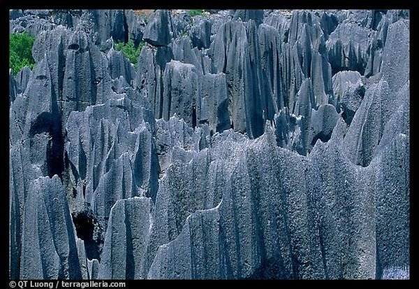 Китайский Каменный Лес в Шилин-Лунане