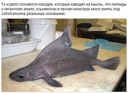 Мутанты и монстры из морских глубин