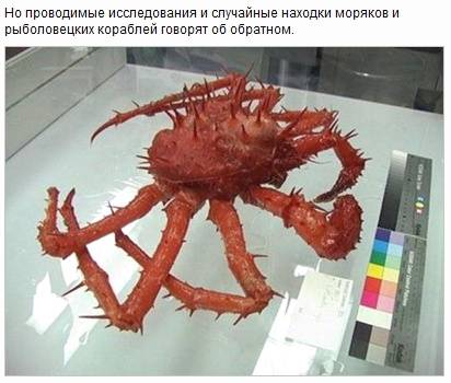 Мутанты и монстры из морских глубин