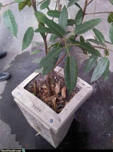 Дорогая я все починил, смешные фотографии