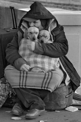 Подборка прикольных картинок