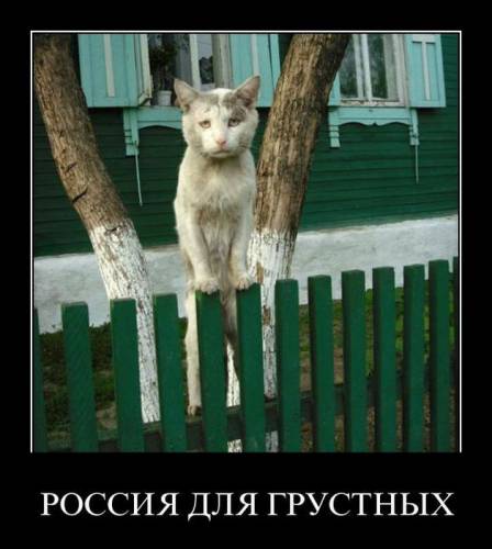 Демотиваторы