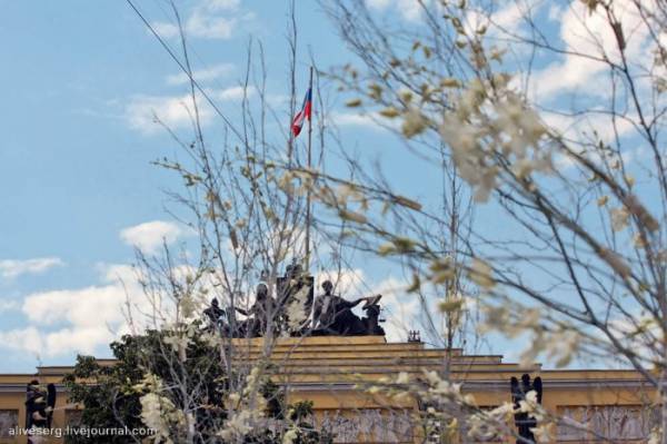 Международный фестиваль цветов в Петербурге