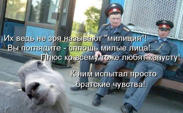 Смешные фотки с надписями