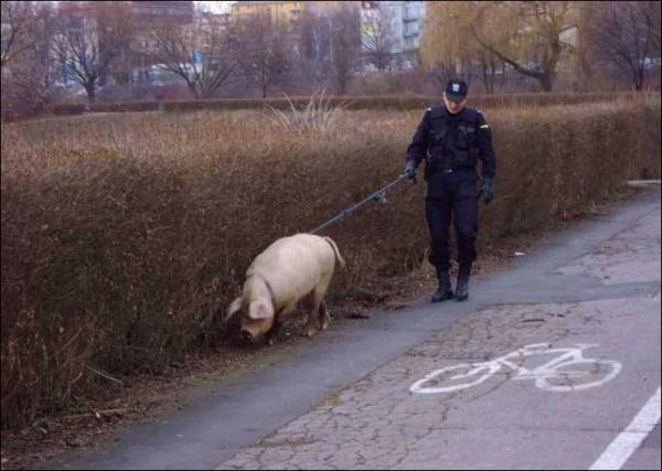 Наша служба и опасна и трудна..