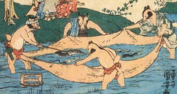 Такое можно увидеть только в Японии