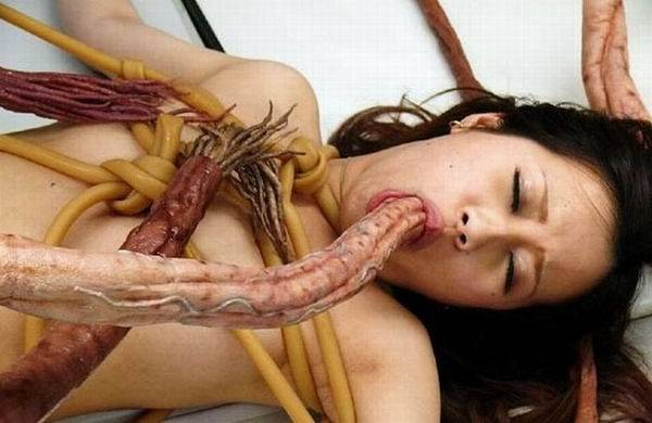 Такое можно увидеть только в Японии