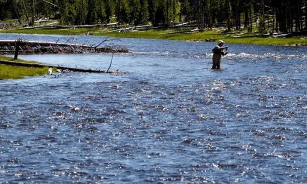 Национальный парк в США - Yellowstone